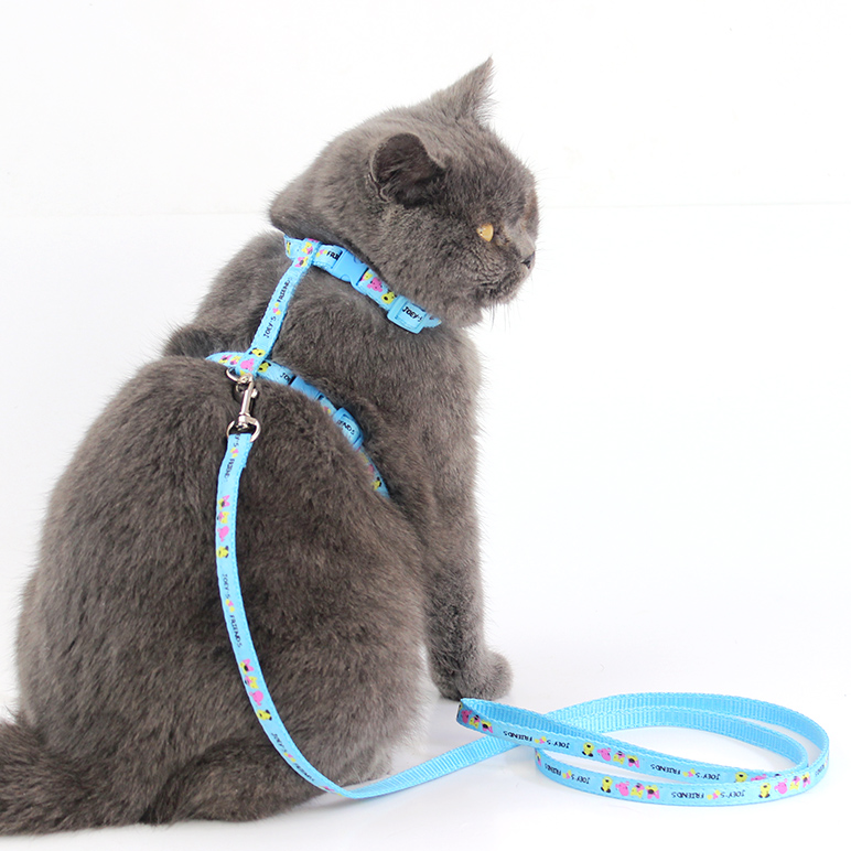 Target cat leash deals