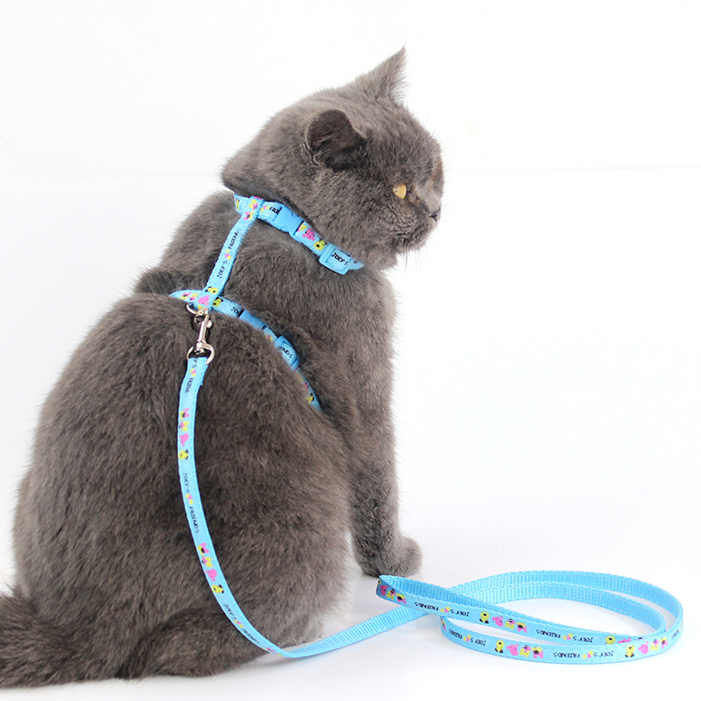 Cat Harness & Bungee Leash - MOMOPOPO