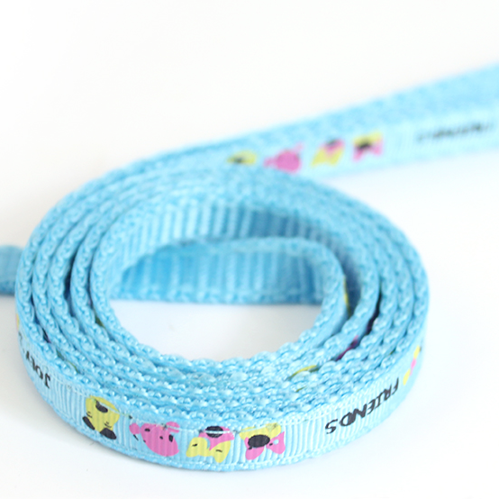 Cat Harness & Bungee Leash - MOMOPOPO