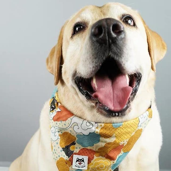 Shiba inu outlet bandana