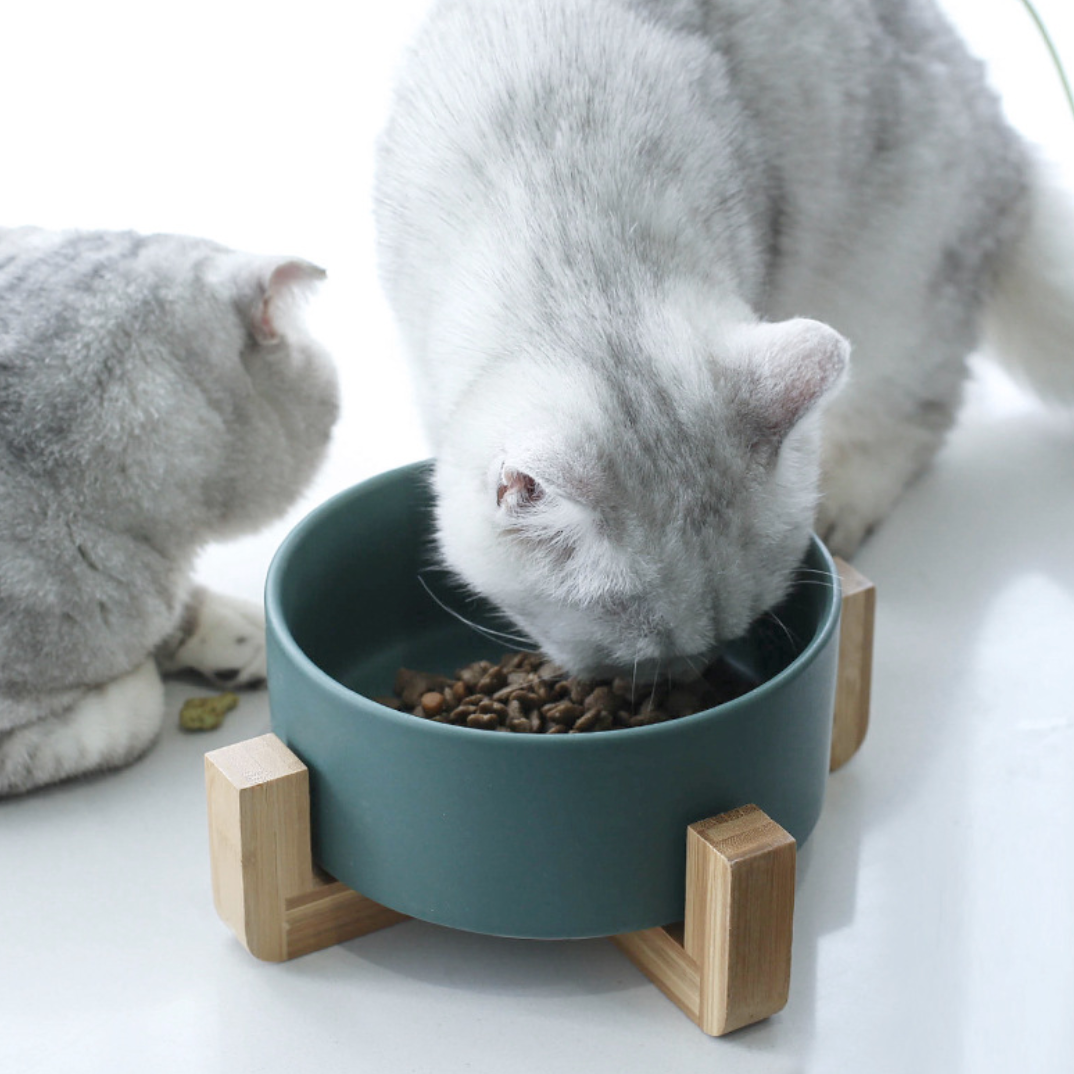 Modern Ceramic Elevated Pet Bowls - MOMOPOPO