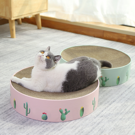 Pet Geometric Scratcher - MOMOPOPO